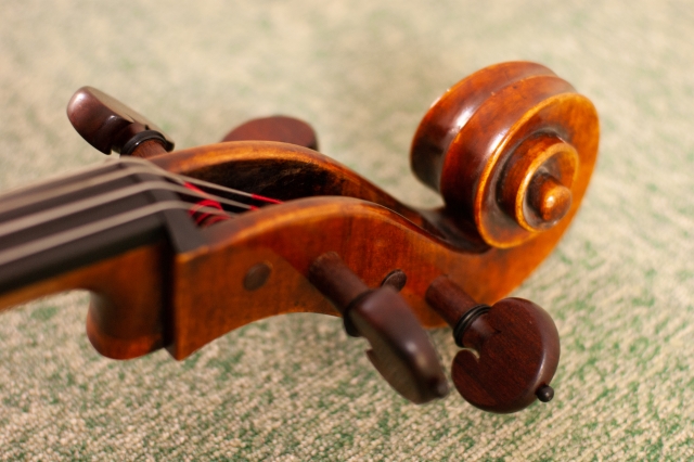 The Role and Attraction of the Cello in an Orchestra